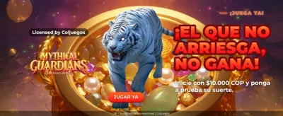 Experiencia en Ruletas Virtuales Premium